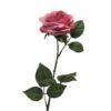 dyon-rose-dark-pink