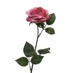 dyon-rose-dark-pink