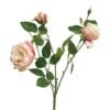 italian-rose-pink