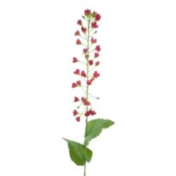 mini-flower-spray-red