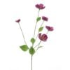 melastoma-spray-deep-pink