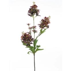 wild-chamomile-red