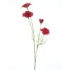 poppy-spray-red