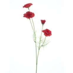 poppy-spray-red