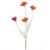 poppy-spray-orange