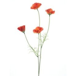 poppy-spray-orange