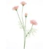 poppy-spray-pink