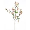 mini-physalis-pink