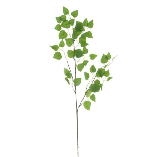 betula-leaf-spray
