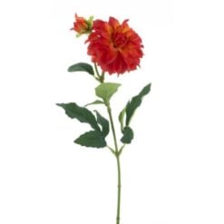 mini-dahlia-spray-red