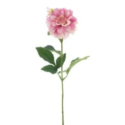 mini-dahlia-spray-strong-pink