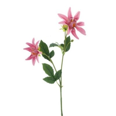 dahlia-spray-noud-old-pink