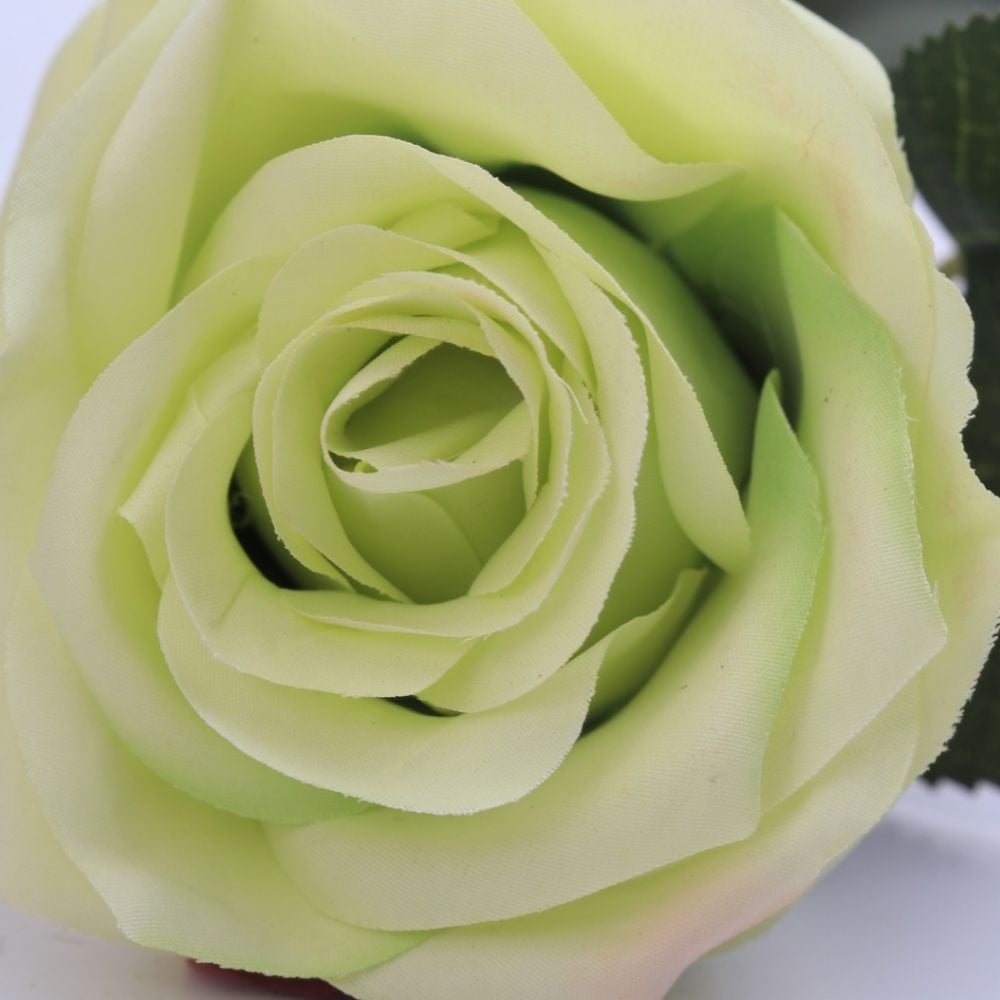 dyon-rose-green-1