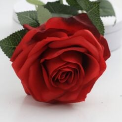 dyon-rose-red-1