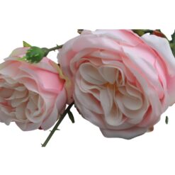 italian-rose-pink-1