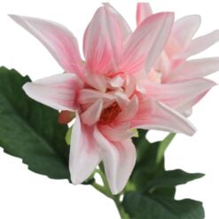 dahlia-spray-noud-pink