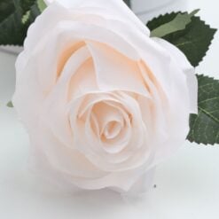 dyon-rose-light-pink-1