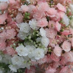 gypso-bundle-cream-pink-1
