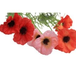 branche-de-coquelicots-multicolores