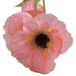 mohnzweig-rosa-1