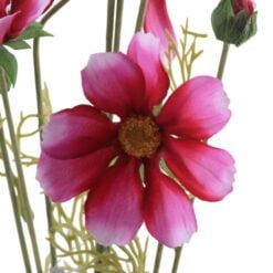 cosmos-orion-pink-1
