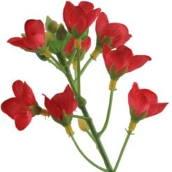 mini-spray-red-1