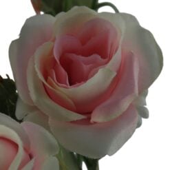 roos-jacqueline-pink